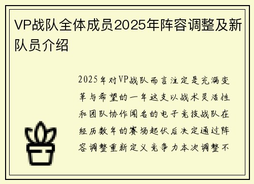 VP战队全体成员2025年阵容调整及新队员介绍